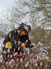 course-orientation-nature-urbaine